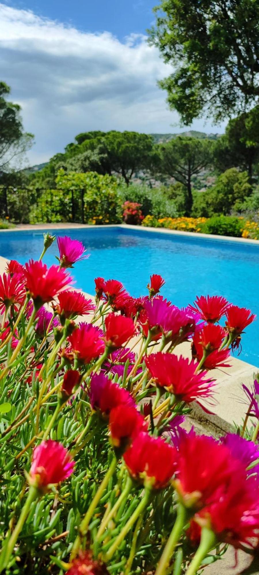 Villa Boheme Costa Brava Calonge  Extérieur photo