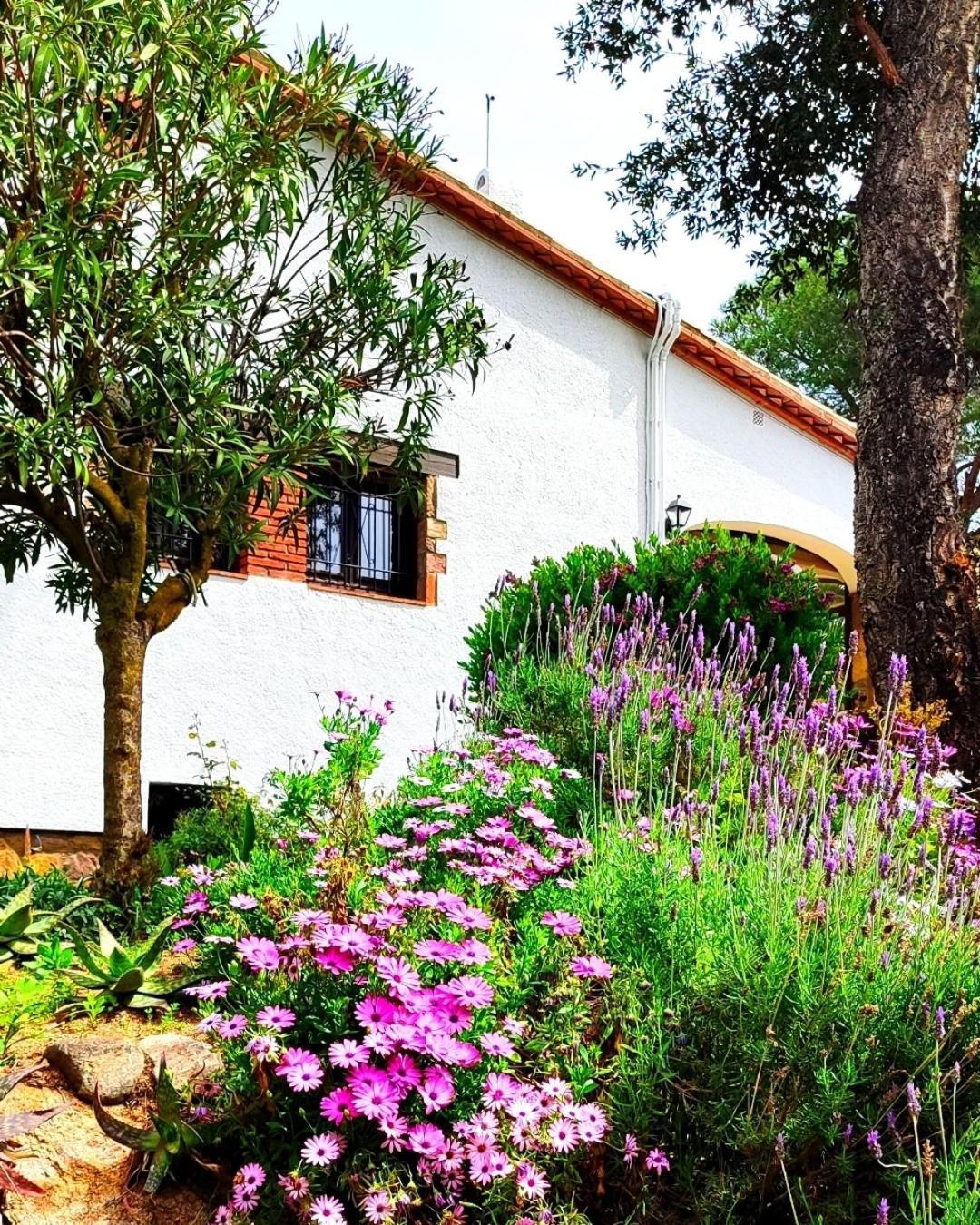 Villa Boheme Costa Brava Calonge  Extérieur photo